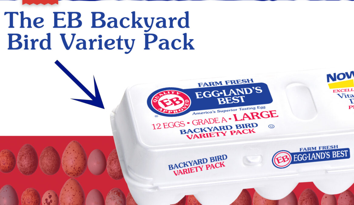 EB Backyard Bird Variety Pack