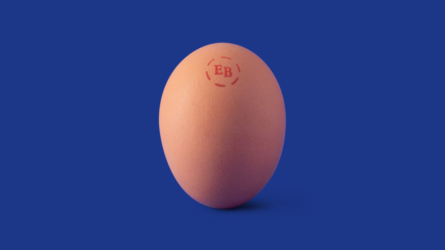 Eggland's Best Brown Egg