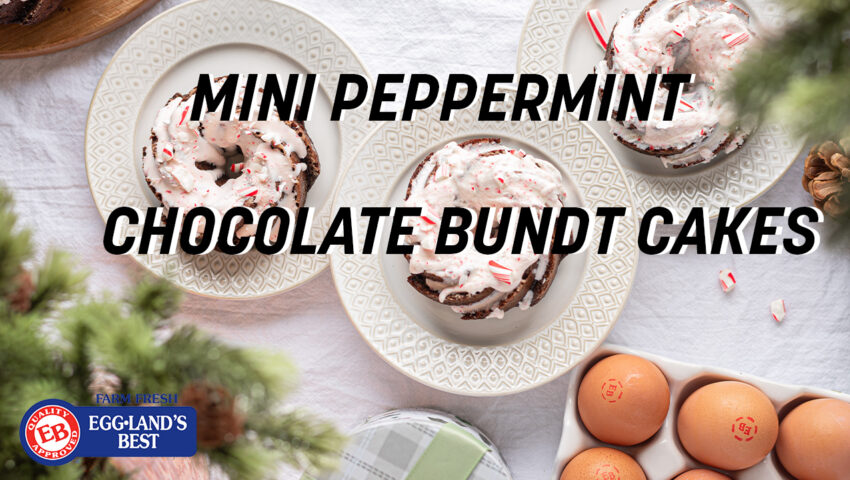 Mini peppermint chocolate bundt cake