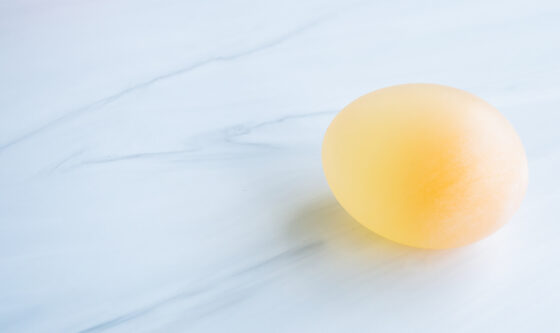 The Naked EB Egg