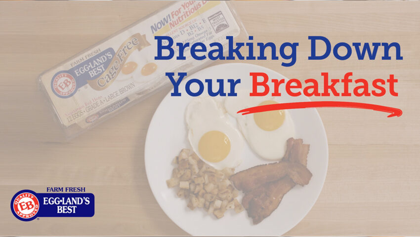 Youtube Cover Breakingdown your Bfast